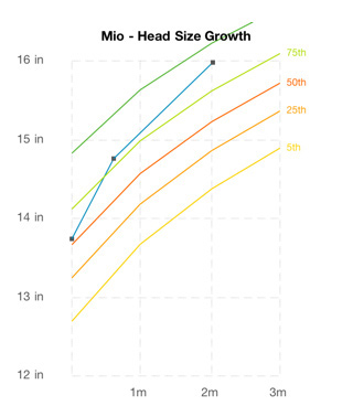 Mio's Head Size (2 Months)