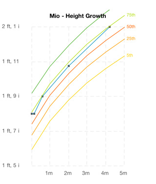 Mio's Height (4 Months)