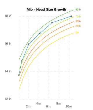 Mio's head circumference at 10 months