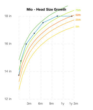 Mio's head size at 14 months