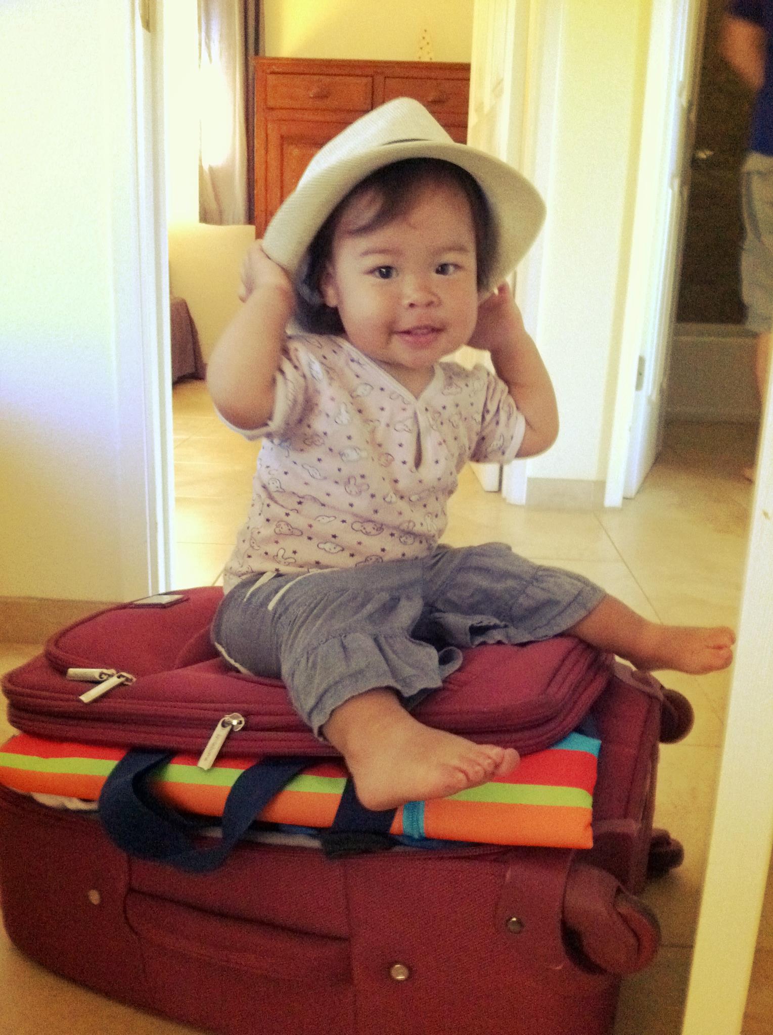 Mio on suitcase