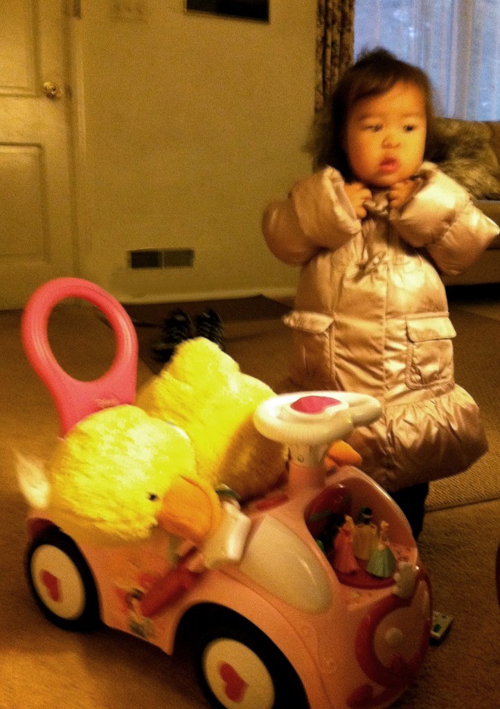Mio in her coat with her duck.
